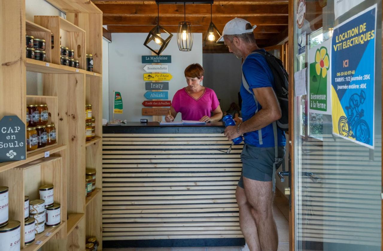 Tente Safari Lodge Ferme Carrique Tardets-Sorholus エクステリア 写真